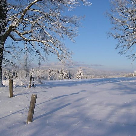 Luxury Apartment In Sumava Mountains Kristanov Exterior photo